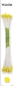 Preview: Flower Stamen - Pearl Yellow Fine