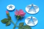 Preview: Calyx Cutters-Set Small