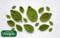 Preview: Silicone Mould - Rose Leaves