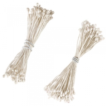 Assorted Flower Stamens
