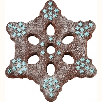 Cake Pan - Fun Snowflake