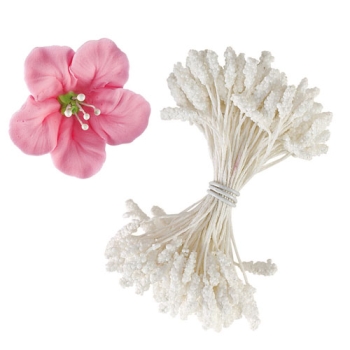 Assorted Flower Stamens