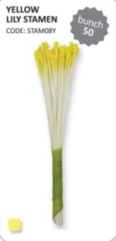 Blumen Staubgefäss für Lilie - Gelb