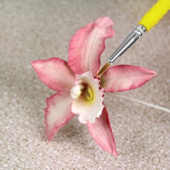Fine Craft Brushes