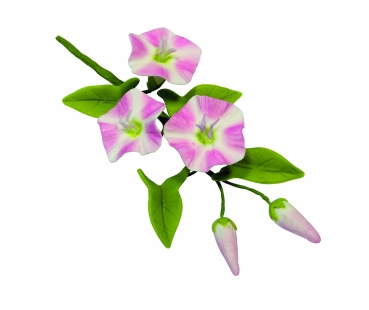 Cutter Set - Field Bindweed