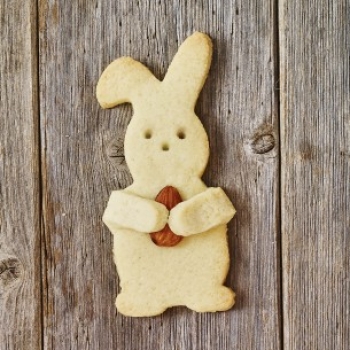 Cookie Cutter - Cuddle Bunny