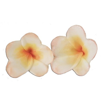 Cutter and Mould - Frangipani