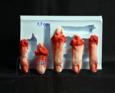 Silicone Mould - 5 Fingers