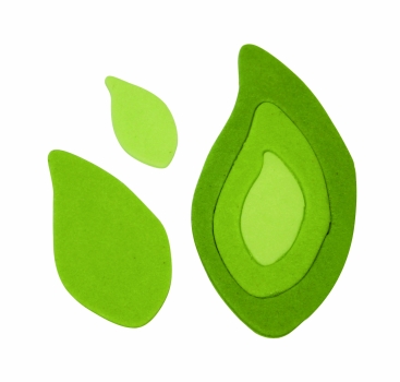 Cutter Set - Leaf