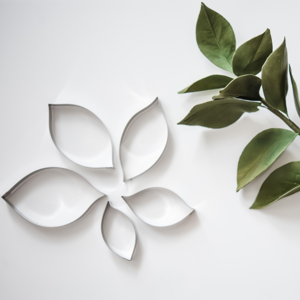 Hard Ruscus Leaf (Set Of 5) Professional Stainless Steel Icing Cutter