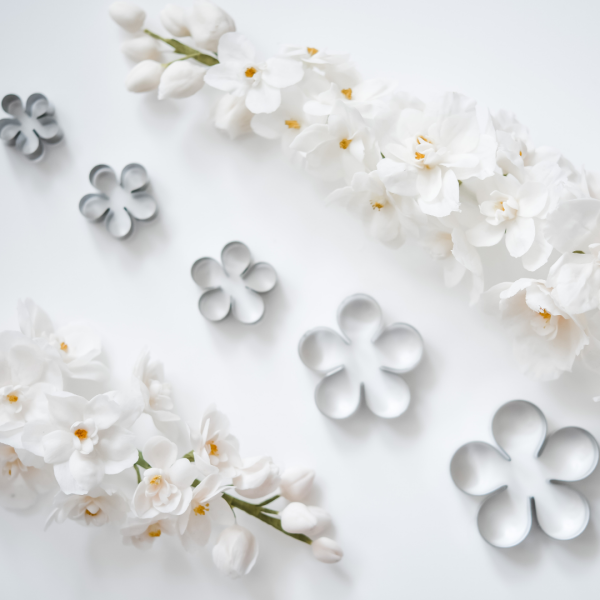 Blossom (Set Of 5) Professional Stainless Steel Icing Cutter