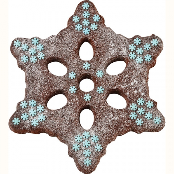 Cake Pan - Fun Snowflake