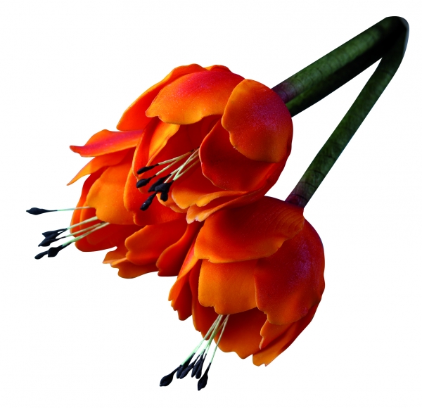 Ausstecher mit Auswerfer - Tulpe