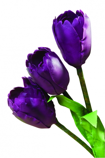Plunger Cutter - Tulip