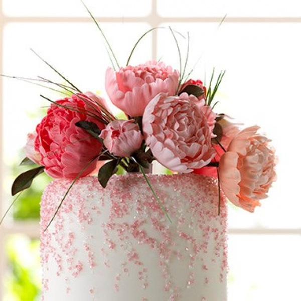 Cutter Peony