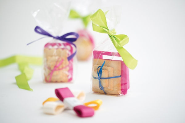 Clear Bag with stiff Bottom / 12 x 28cm