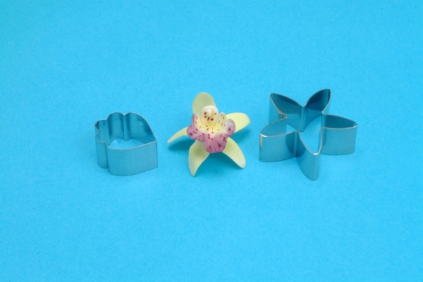 Cutter Cymbidium Orchid Mini