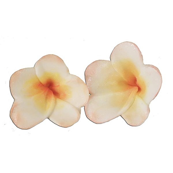 Cutter and Mould - Frangipani
