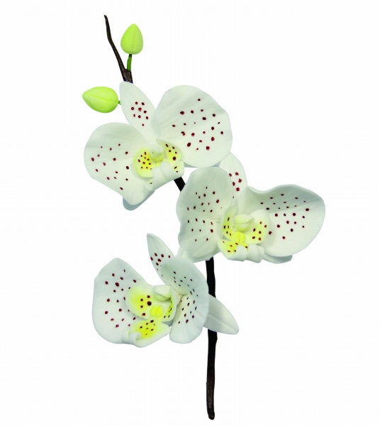 Cutter Set - Moth Orchid