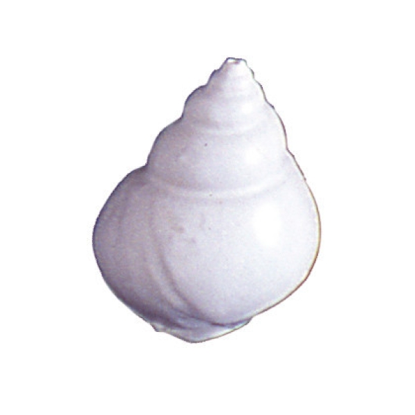 Silicone Mould Shell Latirus Small